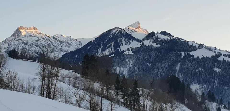 Готель Gasthof Engelberg Scharnachtal Екстер'єр фото